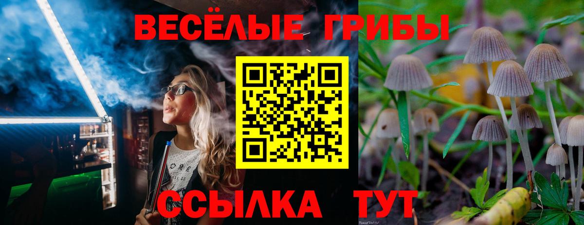 Галлюциногенные грибы Cubensis  где можно купить   Избербаш  Вход с VPN 